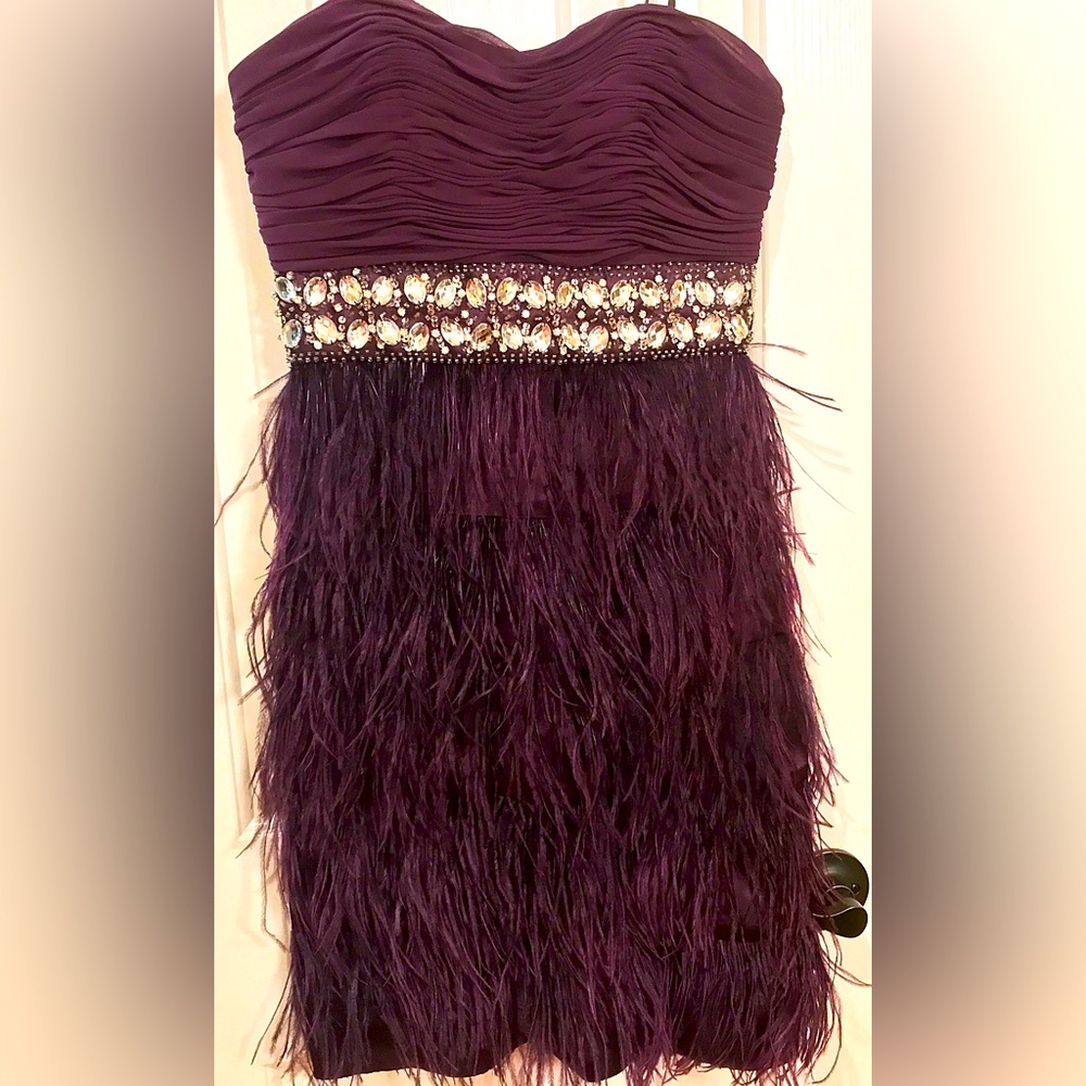 What a fun dress! Roaring 20’s Feathers